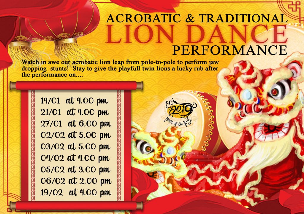 Acrobatic & Traditional Lion Dance Performance for 2019