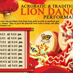 Acrobatic & Traditional Lion Dance Performance For 2019