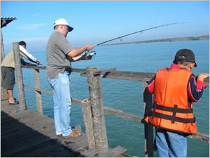 Telok Bayu Fishing Kelong, Kuala Lukut